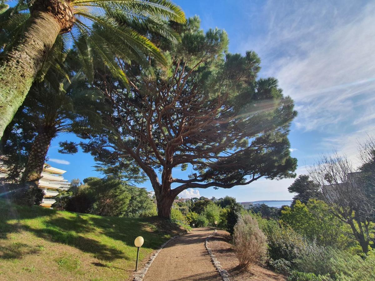 Apartamento Solezia Appartement, Piscine Et Vue Mer, By Welcome To